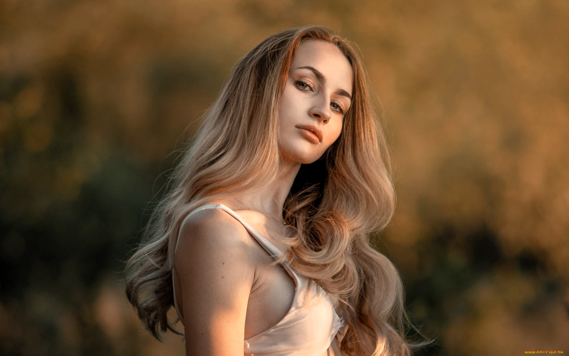 , - ,  , , , 